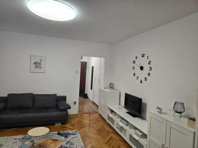 Central Apartament's
